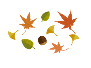 秋の木の葉のイラスト 無料で使えるフリーな らくがき素材